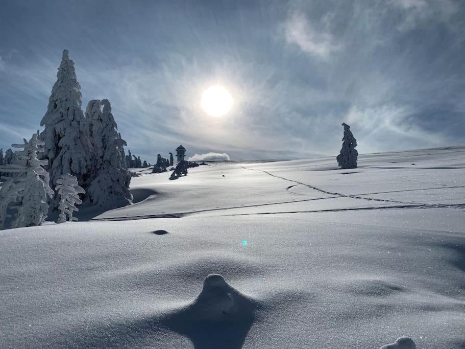 Feldberg, direkt an der Skipiste, urgemütliche Stube9 Feldberg  Exterior foto